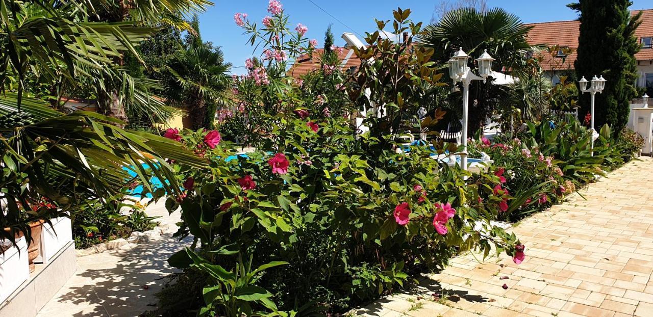 Paradise-Garden-Zamardi Exterior photo